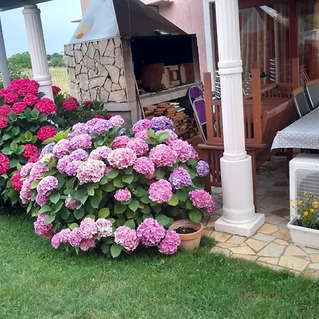 Διαμέρισμα A5 Πόρετς